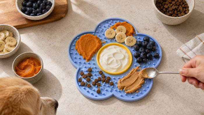 Peanut butter, banana, yoghurt, pumpkin, blueberries, and kibble on a LickBloom mat
